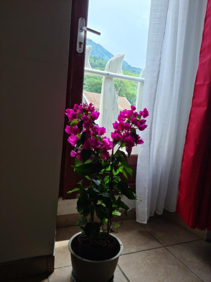 Appartement Route De Cursinges Cervens Екстериор снимка